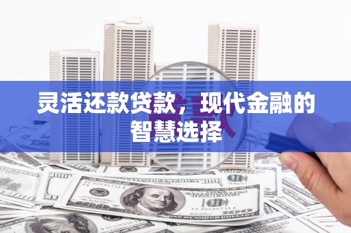 关西灵活还款贷款，现代金融的智慧选择