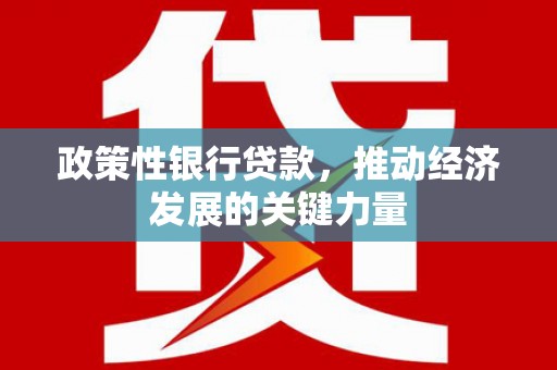 关西政策性银行贷款，推动经济发展的关键力量