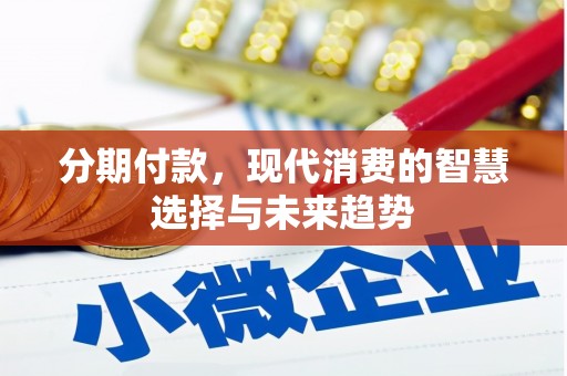 关西分期付款，现代消费的智慧选择与未来趋势