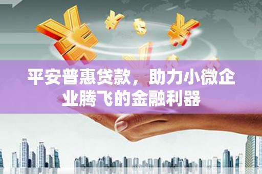 关西平安普惠贷款，助力小微企业腾飞的金融利器