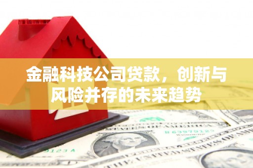 关西金融科技公司贷款，创新与风险并存的未来趋势