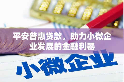 关西平安普惠贷款，助力小微企业发展的金融利器