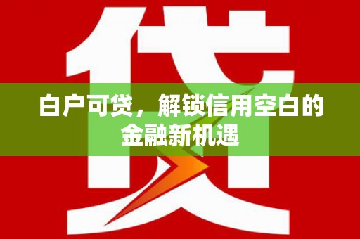 关西白户可贷，解锁信用空白的金融新机遇