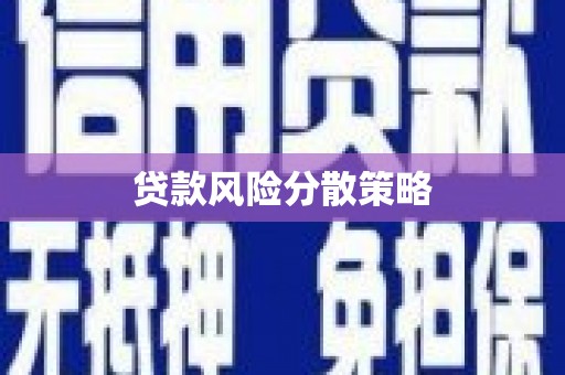 关西贷款风险分散策略