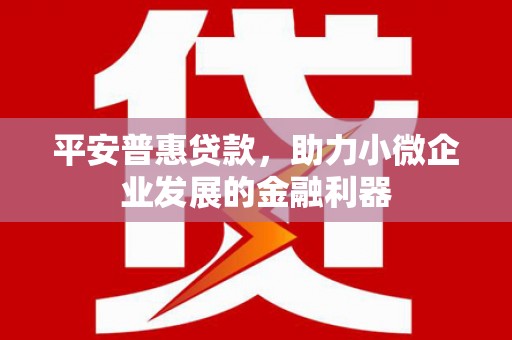 关西平安普惠贷款，助力小微企业发展的金融利器