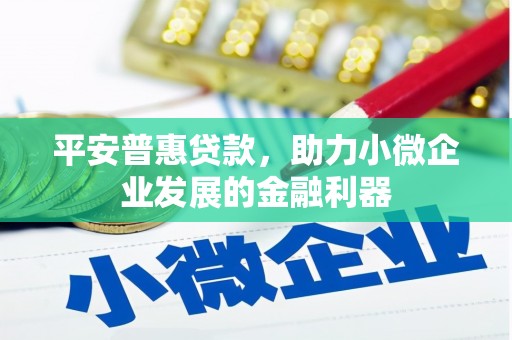 关西平安普惠贷款，助力小微企业发展的金融利器