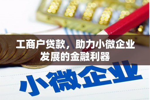关西工商户贷款，助力小微企业发展的金融利器