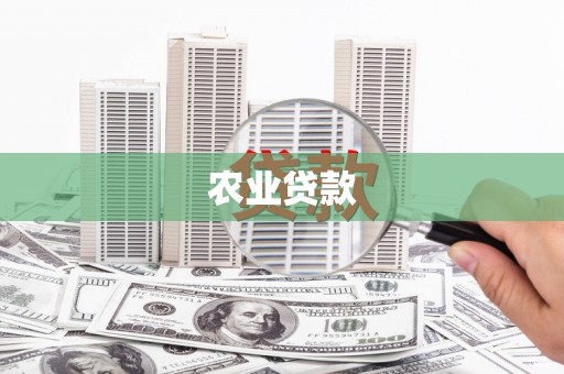 关西农业贷款