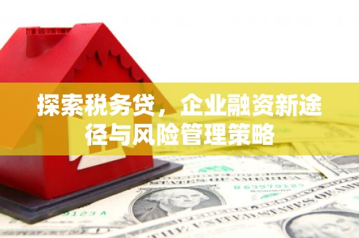 关西探索税务贷，企业融资新途径与风险管理策略