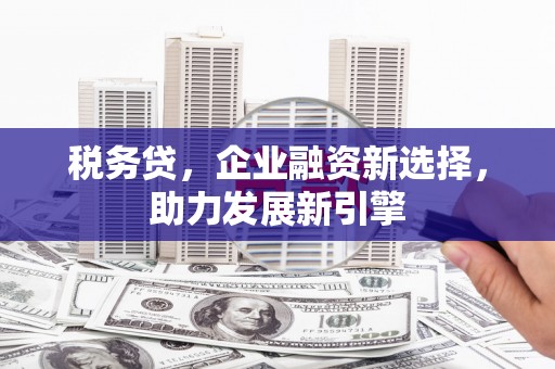 关西税务贷，企业融资新选择，助力发展新引擎