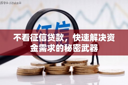 关西不看征信贷款，快速解决资金需求的秘密武器