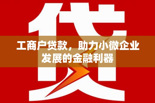 关西工商户贷款，助力小微企业发展的金融利器