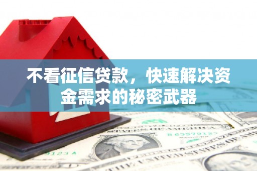 关西不看征信贷款，快速解决资金需求的秘密武器