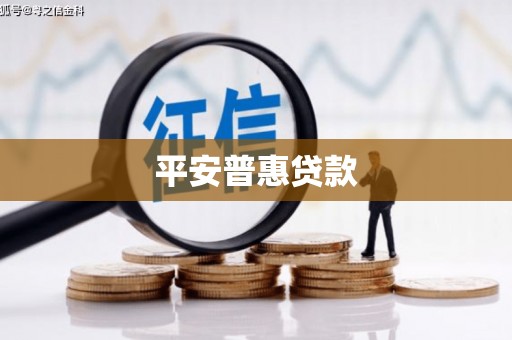 关西平安普惠贷款