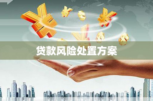 关西贷款风险处置方案