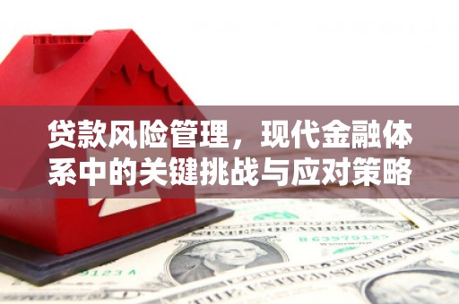 关西贷款风险管理，现代金融体系中的关键挑战与应对策略