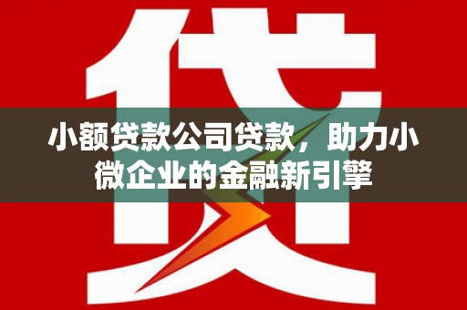 关西小额贷款公司贷款，助力小微企业的金融新引擎