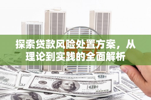 关西探索贷款风险处置方案，从理论到实践的全面解析