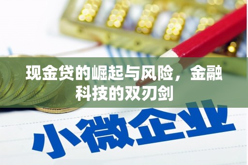 关西现金贷的崛起与风险，金融科技的双刃剑