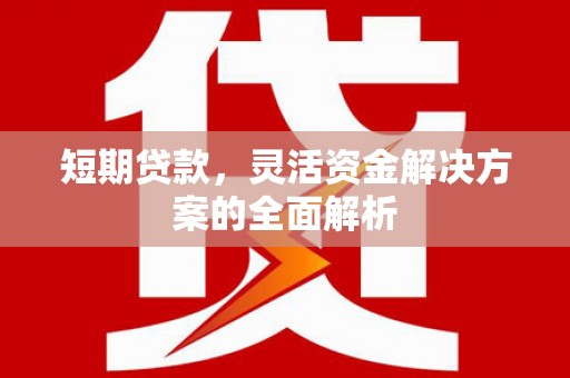 关西短期贷款，灵活资金解决方案的全面解析