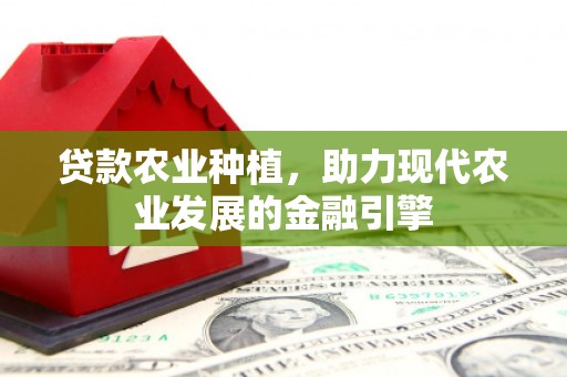 关西贷款农业种植，助力现代农业发展的金融引擎