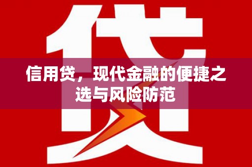关西信用贷，现代金融的便捷之选与风险防范