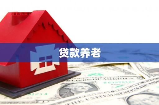 关西贷款养老