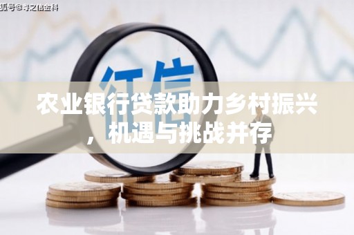 关西农业银行贷款助力乡村振兴，机遇与挑战并存
