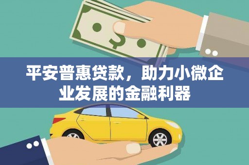 关西平安普惠贷款，助力小微企业发展的金融利器