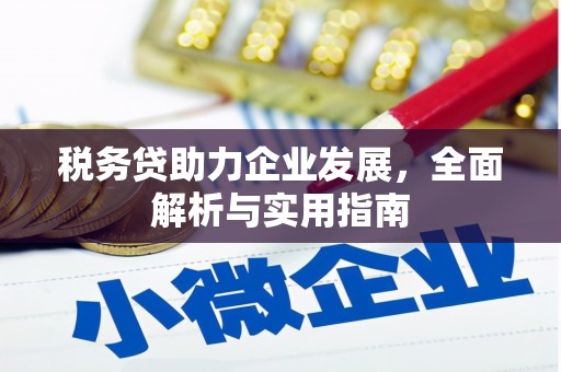 关西税务贷助力企业发展，全面解析与实用指南