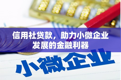 关西信用社贷款，助力小微企业发展的金融利器