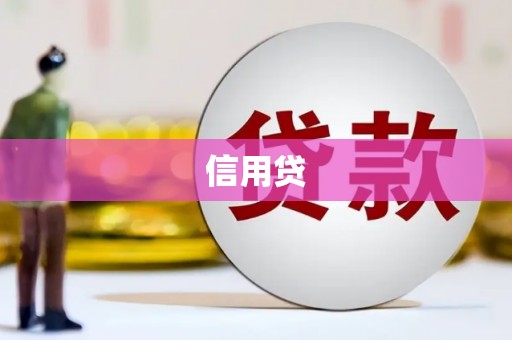 关西信用贷