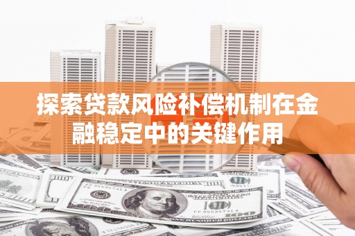 关西探索贷款风险补偿机制在金融稳定中的关键作用