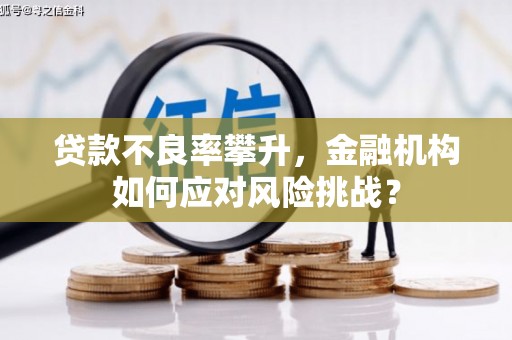 关西贷款不良率攀升，金融机构如何应对风险挑战？