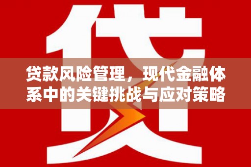 关西贷款风险管理，现代金融体系中的关键挑战与应对策略