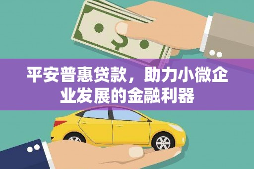 关西平安普惠贷款，助力小微企业发展的金融利器