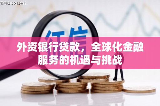关西外资银行贷款，全球化金融服务的机遇与挑战
