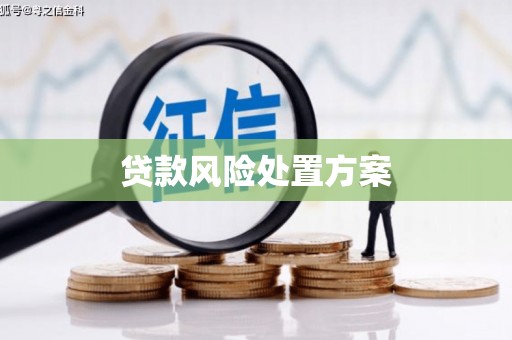 关西贷款风险处置方案