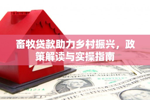 关西畜牧贷款助力乡村振兴，政策解读与实操指南